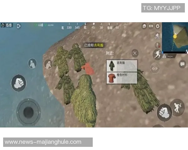 张娜揭秘和平精英成功背后的策略与团队协作秘诀